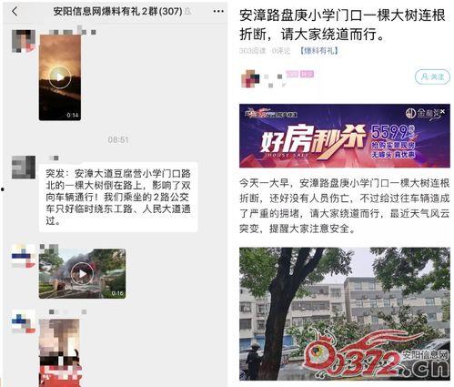 安阳最新爆料消息,揭秘神秘事件背后的惊人真相